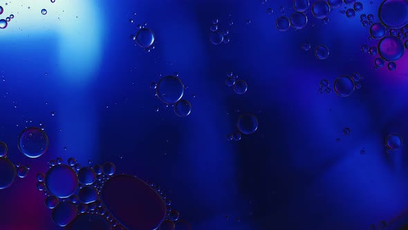 Abstract Colorful Food Oil Drops Bubbles 253 alt