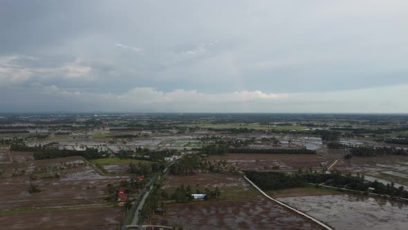 Aerial view peatland paddy field with rainbow