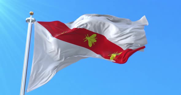Napoleonic Flag of the Island of Elba, Italy