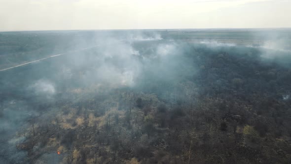 Flight Over the Field After a Largescale Fire