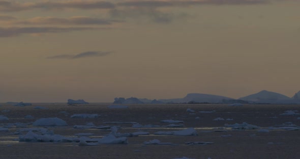 Iceberg and icefield