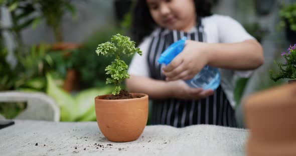 Girl spraying water on the plant