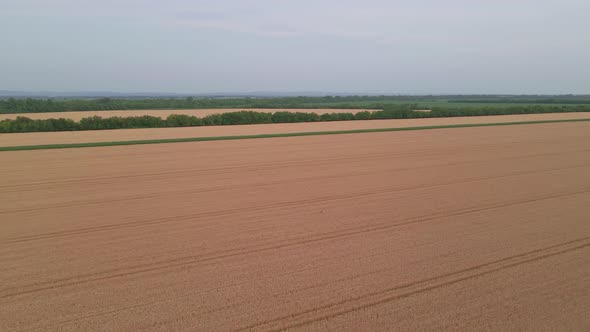 Aerial Top View Of A Different Agriculture Fields In Countryside On A Summer Day