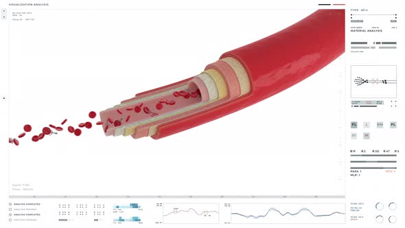 Laboratory technology is analyzing the blood flow for biological research alt