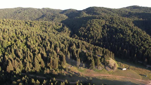 Aerial Forest and Mountain