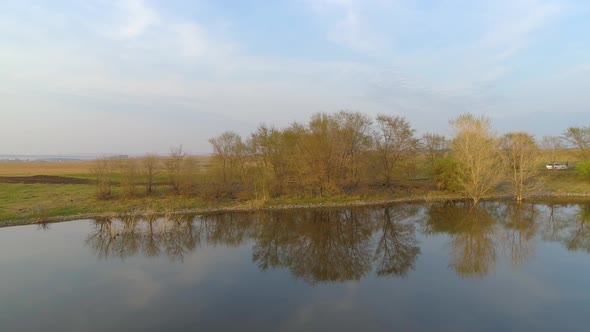 Reflection Trees In Lake