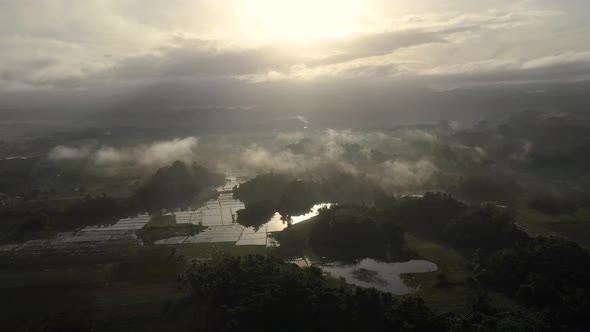 Aerial View of Rice Plantationterrace Agricultural Land of Farmers