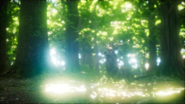 Great Red Deer in a Green Forest