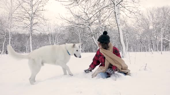 Slow-Mo: White Shepherd Dog Biting A Stick While Playing