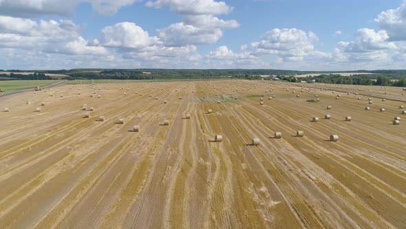 Rolls of Haystacks on the Field