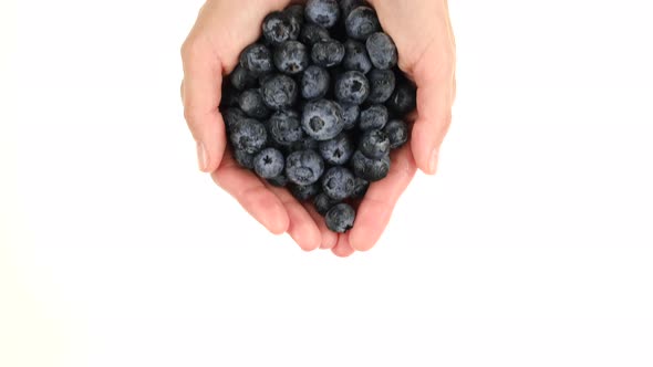 Female hands hold fresh blueberries, isolated on white background