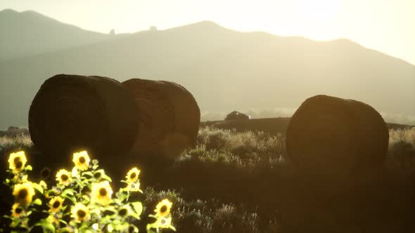 Hay Bales in the Sunset