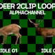 Deer 2 Clip Loop Alpha - VideoHive Item for Sale
