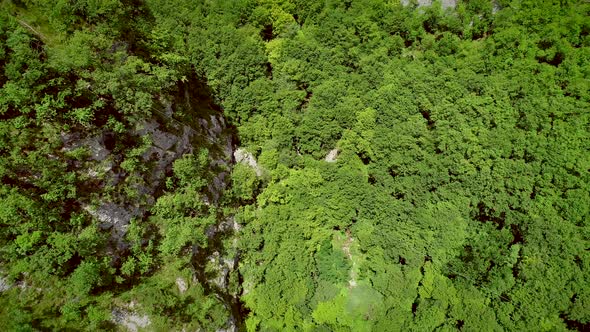 Aerial view of large zip line cable a person flying crossing the forest.