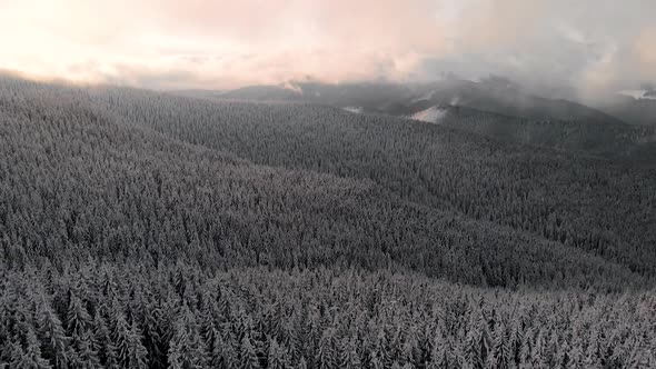 Drone Aerial Fly Above Winter Forest Unveiling Mountain Valley