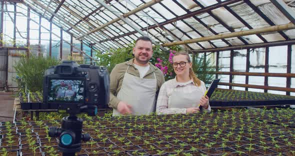 A Couple of Greenhouse Workers During an Online Webinar They Talk About the Features of Breeding