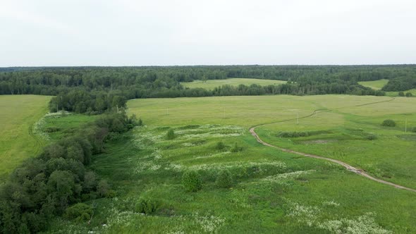 Field with Lake Trees Shot on a Drone