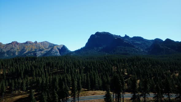 Panorama of Cone Forest at Mountains