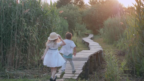 Children Games, Happy Little Boy and Girl Play Catch-up and Run on Wooden Bridge Among Green High