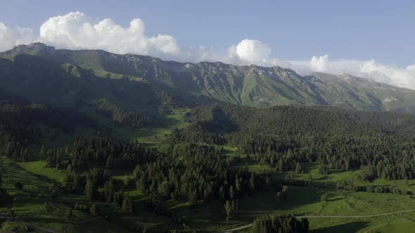 Aerial view Arkhyz mountain range summer landscape green trees spruces forest North Caucasus Russia