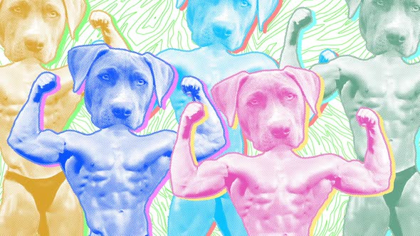 Zine Culture pop dog bodybuilders