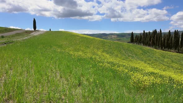 Tuscany Hills Panorama Landscape in Italy