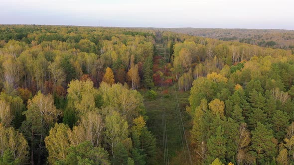 Survey Power Lines From Above in the Autumn Woods