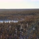 Aerial Flight Over the Winter Forest - VideoHive Item for Sale