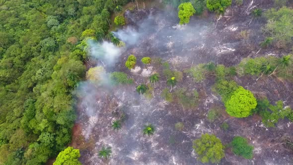 Aerial view over burnt nature a smoking deforestation area, lungs of earth on fire, wildfire in Sout