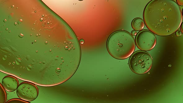 Abstract Colorful Food Oil Drops Bubbles 186 alt