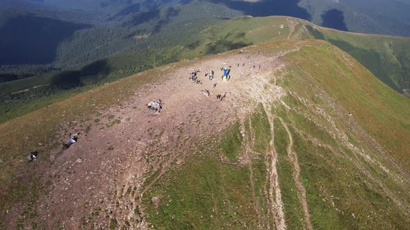 Aerial View of Tourists Climb to the Top of the Mountain Hoverla Ukraine