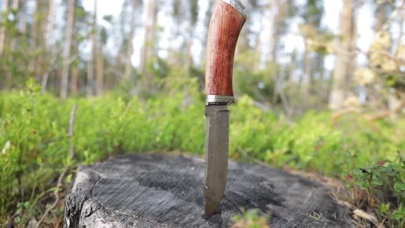 Hunting Knife on the Stump in the Forest