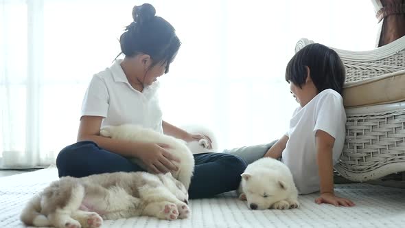 Cute Asian Children Playing With Siberian Husky Puppies In A Room