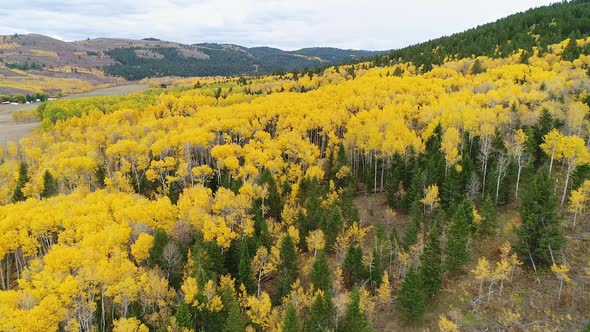 Flying over landscape of Fall color and white fluffy clouds