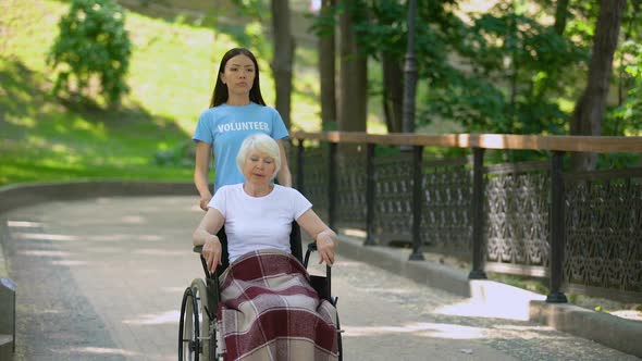 Young Woman Pushing Upset Old Lady Wheelchair, Sickness Depression, Medicine