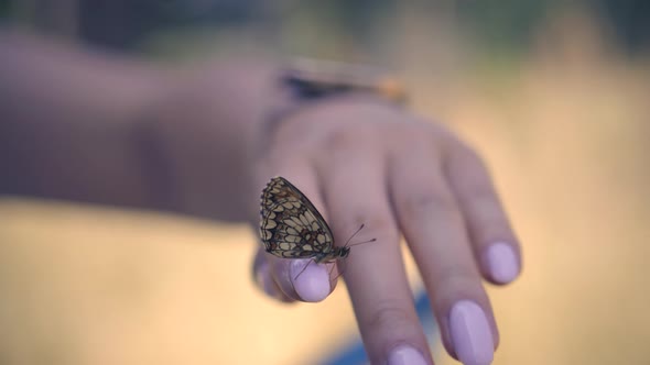 Girl Relax On Comfort Holidays Morning. Playful Butterfly On Finger. Leisure Vacation On Nature.