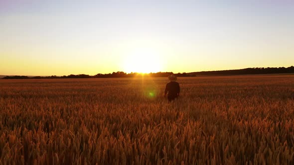 Man in field of wheat. Portrait of farmer walking in field, examining wheat crop