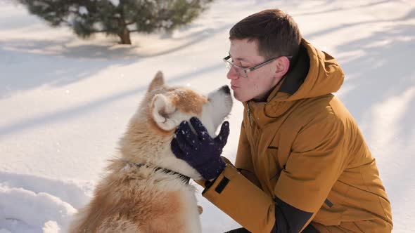 Young man with Akita Inu dog in park. Snowy winter background. Sunny day.