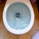 Toilet Flushing 04