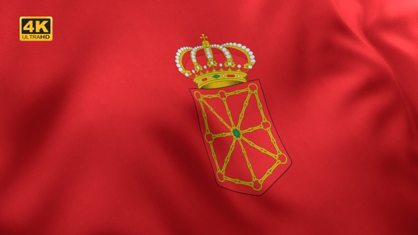 Navarre Flag - 4K