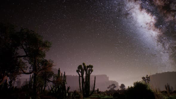 The Milky Way Above the Utah Desert, USA