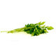 Rotating Parsley - VideoHive Item for Sale