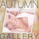 Love Autumn Gallery - VideoHive Item for Sale
