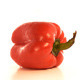 Rotating Red Bell Pepper  - VideoHive Item for Sale