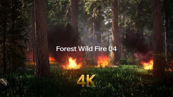 Forest Wild Fire 4K 04
