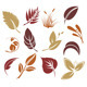 Leaves  - GraphicRiver Item for Sale