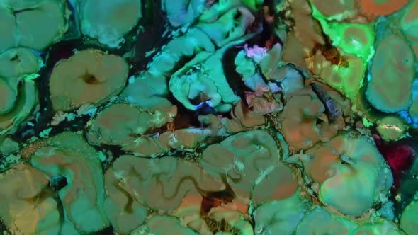 Liquid Colorful Paint Pattens Mix In Slow Motion alt