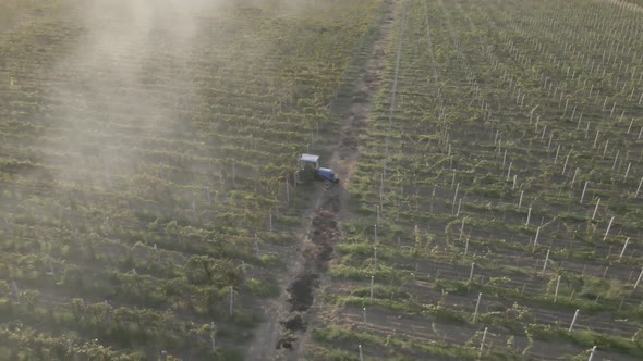 Aerial view farmer on tractor mowing weeds between rows of grapevines in vineyard landscape