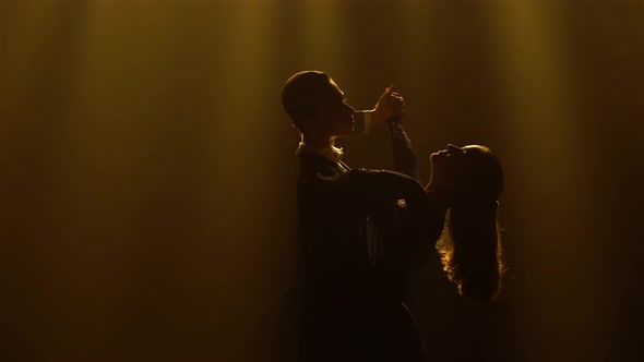 Light Waltz Movements Performed By Charming Pair of Ballroom Dancers