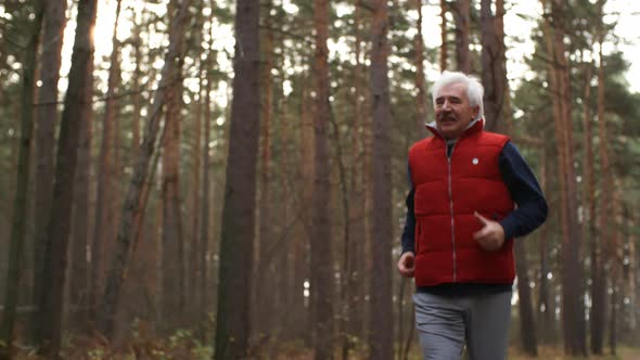 Aged Sportsman Jogging in Forest